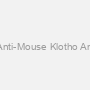 Rabbit Anti-Mouse Klotho Antiserum